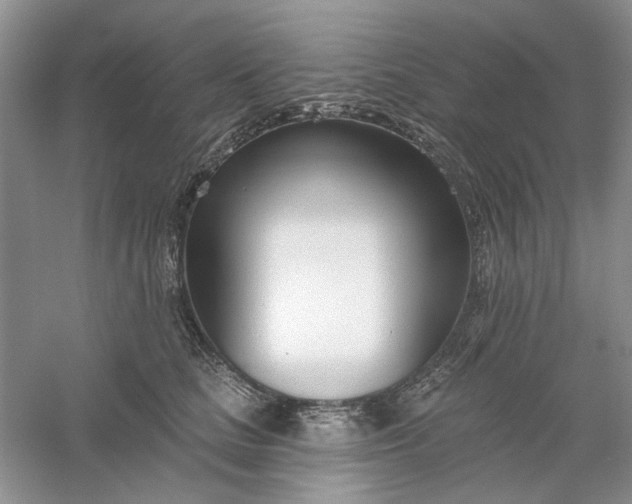 X0000061100661200512022100