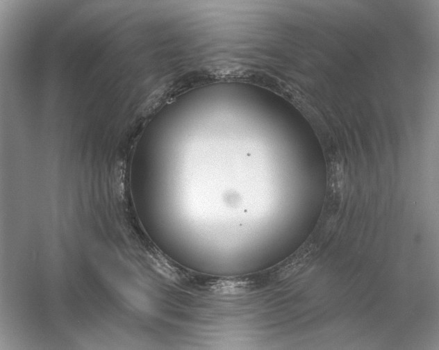 X0000061100664200512022100