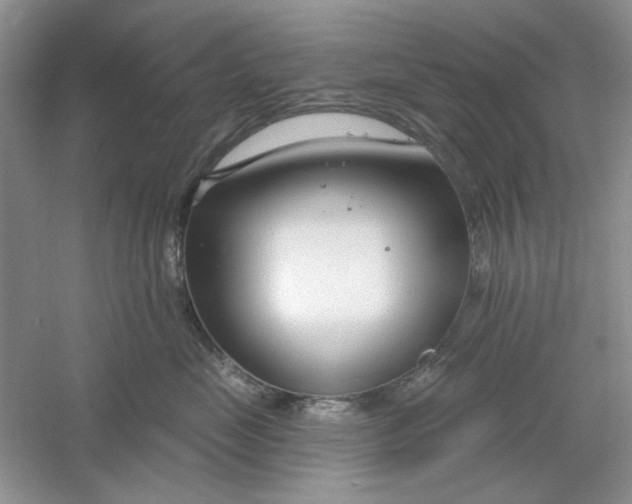 X0000061100669200512022100