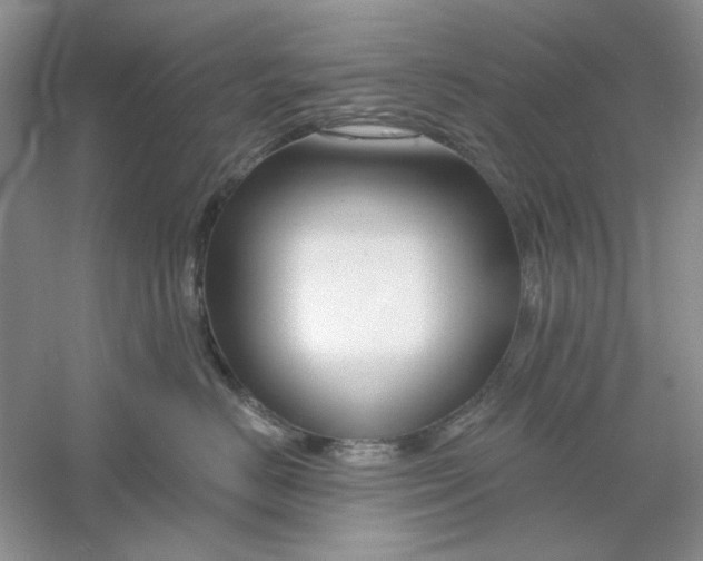 X0000061100670200512022100