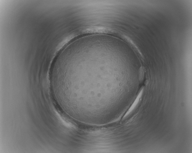 X0000061100674200512022059