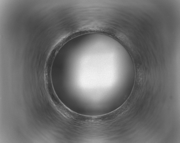 X0000061100680200512022059