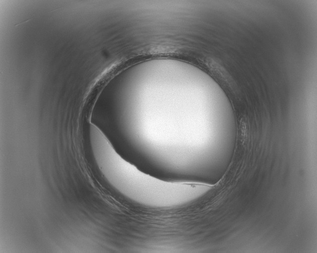 X0000061100684200512022059