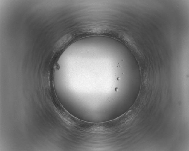 X0000061100685200512022059