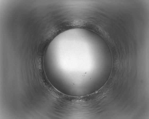 X0000061100689200512022059