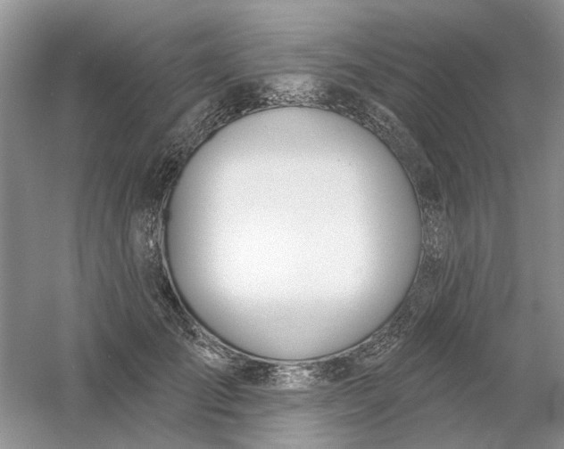 X0000061100701200512022059