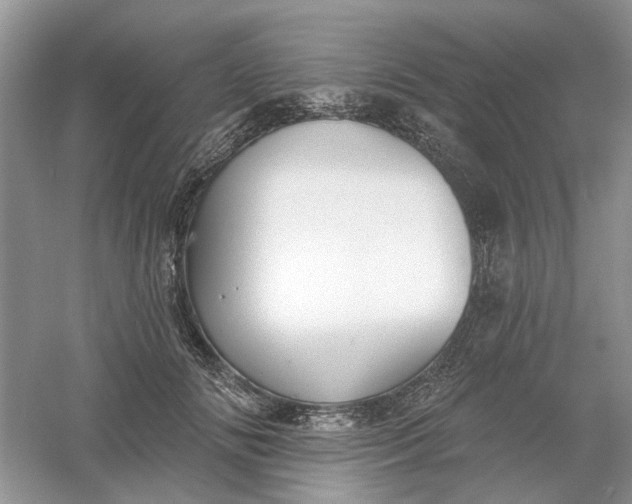 X0000061100702200512022059
