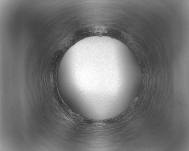 X0000061100704200512022059