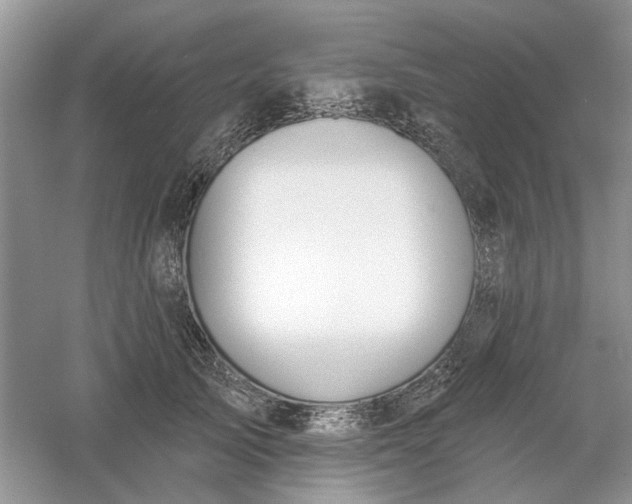 X0000061100705200512022059