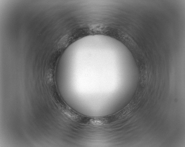 X0000061100706200512022059