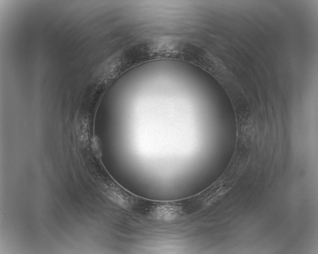 X0000061100708200512022059