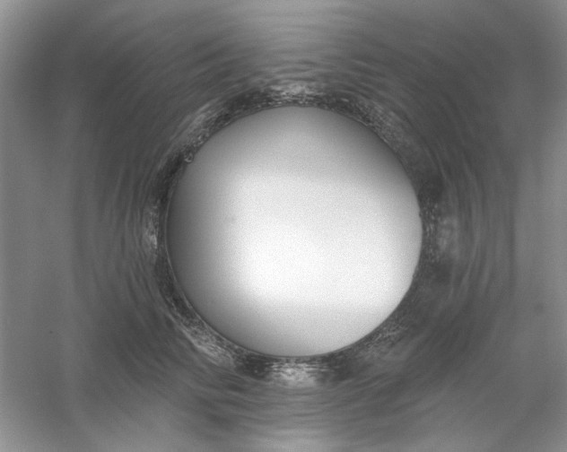 X0000061100710200512022059