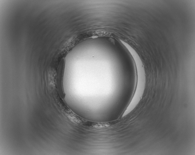 X0000061100712200512022059