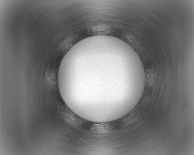X0000061100713200512022059