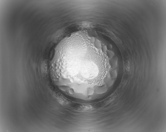X0000061100715200512022059