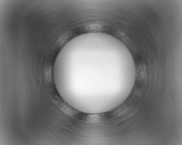 X0000061100717200512022059
