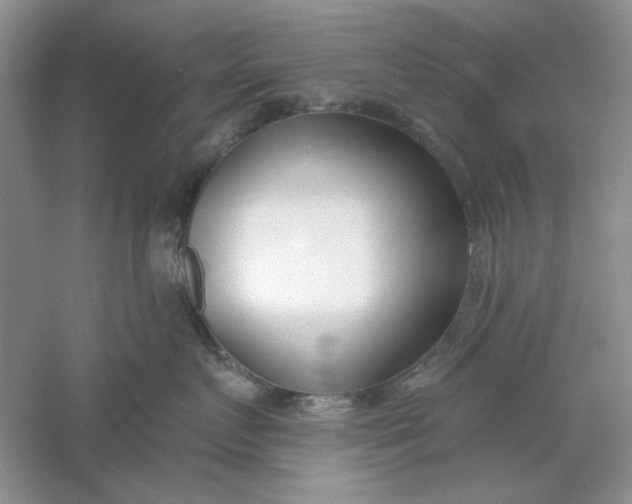 X0000061100719200512022058