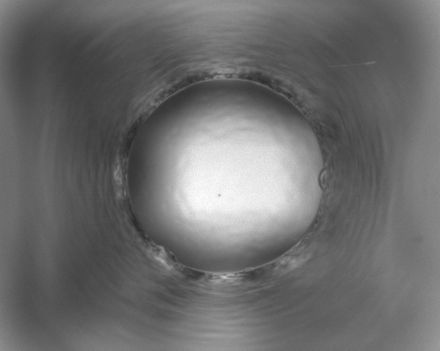 X0000061100720200512022058