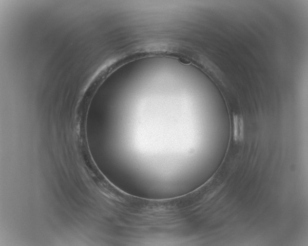 X0000061100723200512022058