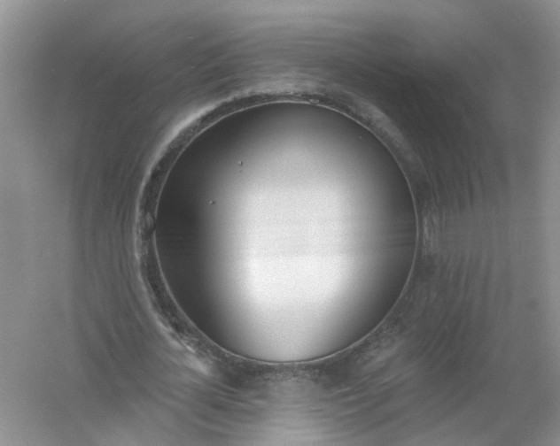 X0000061100724200512022058
