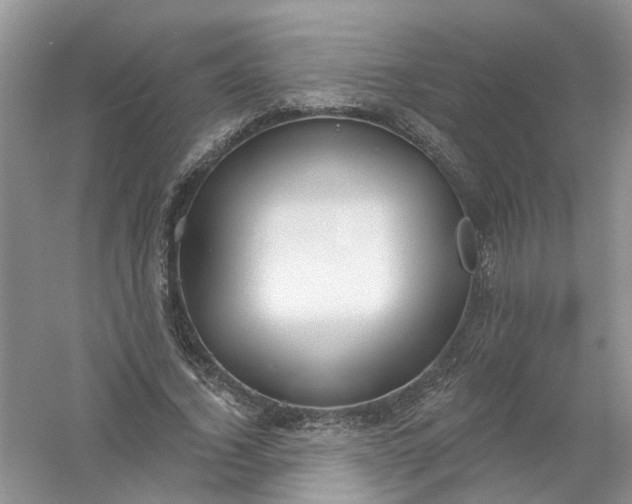 X0000061100732200512022058