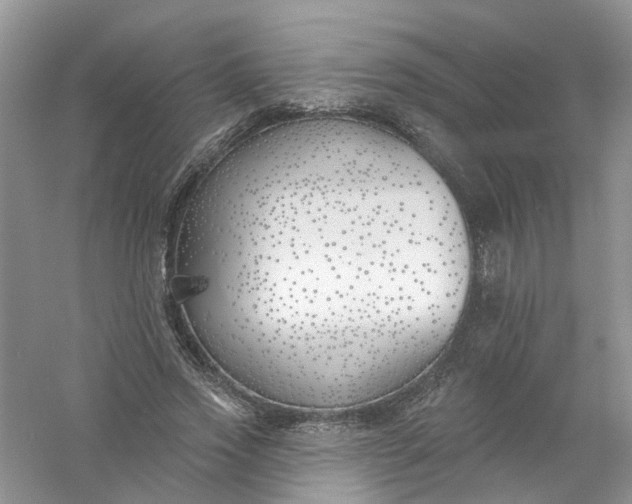 X0000061100733200512022058