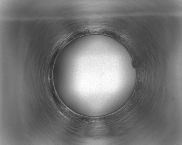 X0000061100740200512022058