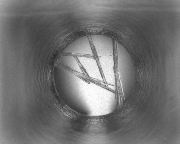 X0000061100745200512022058