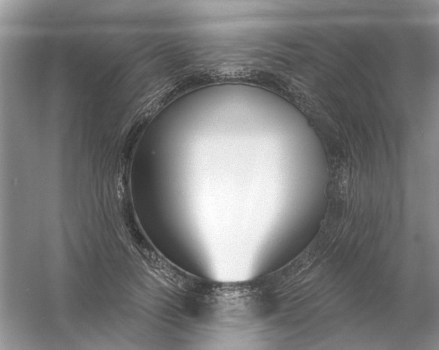 X0000061100746200512022058