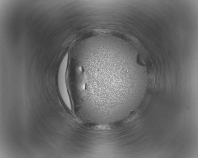 X0000061100765200512022058