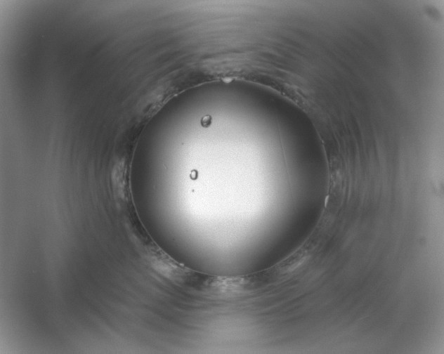 X0000061100767200512022058