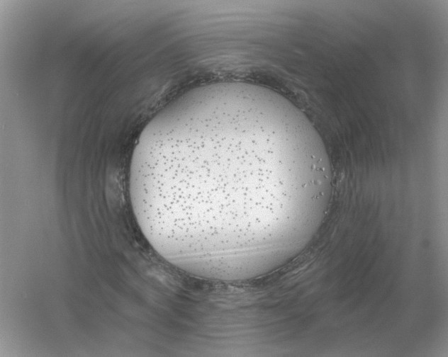 X0000061100772200512022058