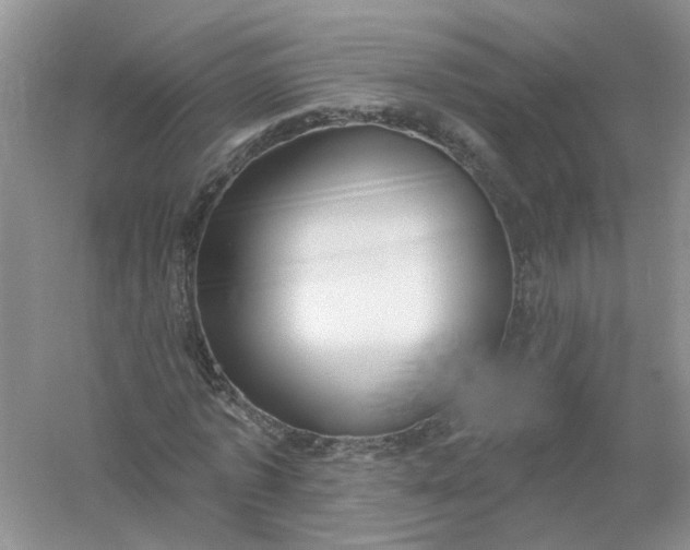 X0000061100773200512022058