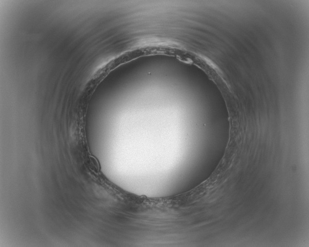 X0000061100775200512022058