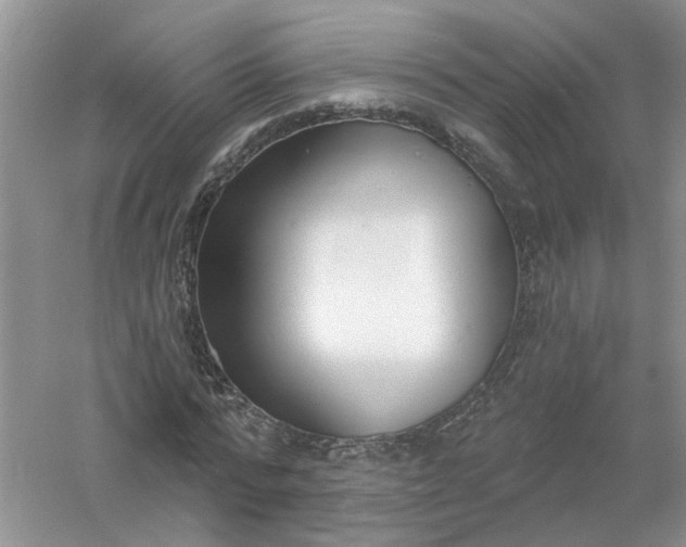 X0000061100776200512022058