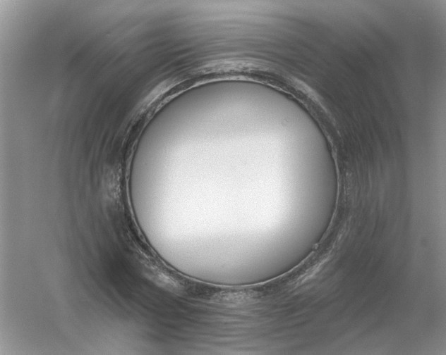 X0000061100778200512022057