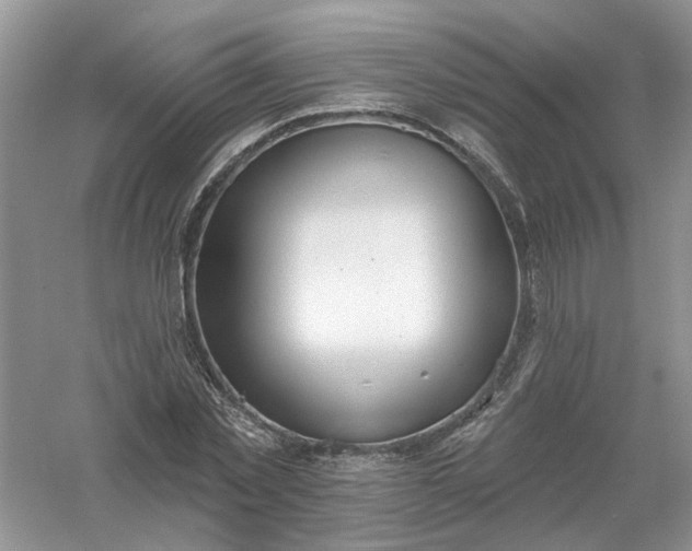 X0000061100781200512022057