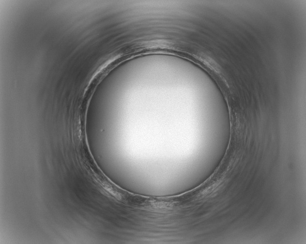 X0000061100782200512022057