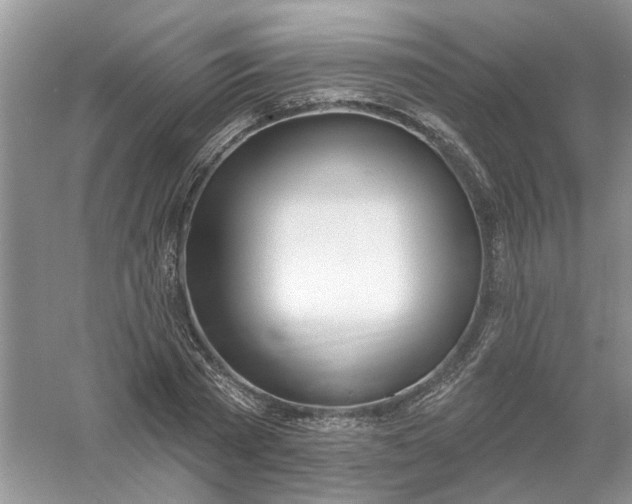 X0000061100785200512022057