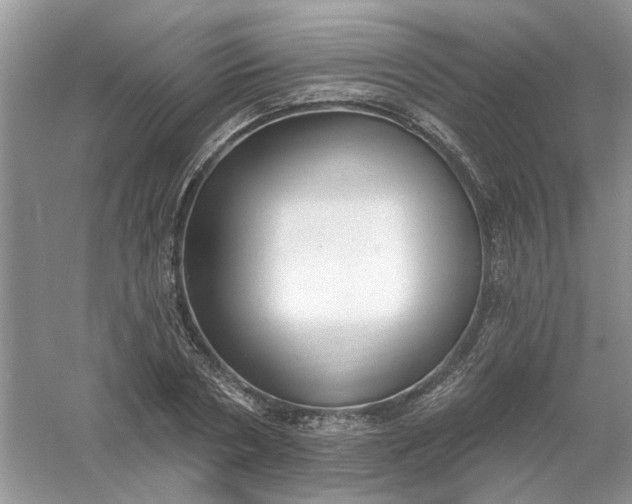 X0000061100786200512022057