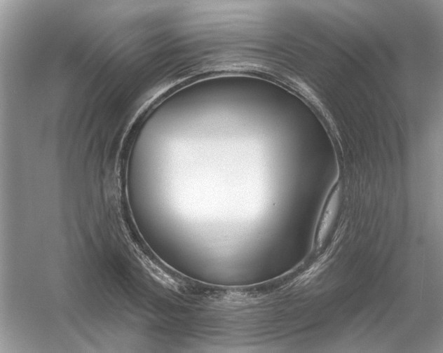 X0000061100787200512022057