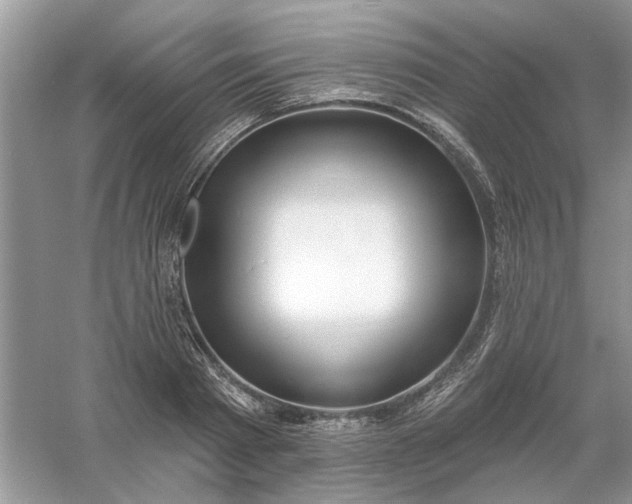 X0000061100793200512022057
