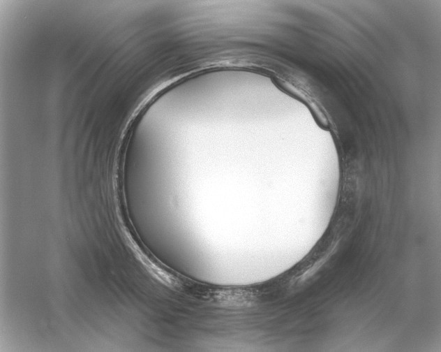 X0000061100803200512022057