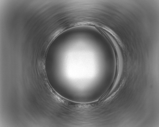 X0000061100809200512022057