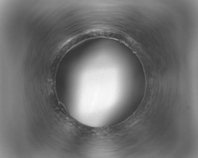 X0000061100822200512022056