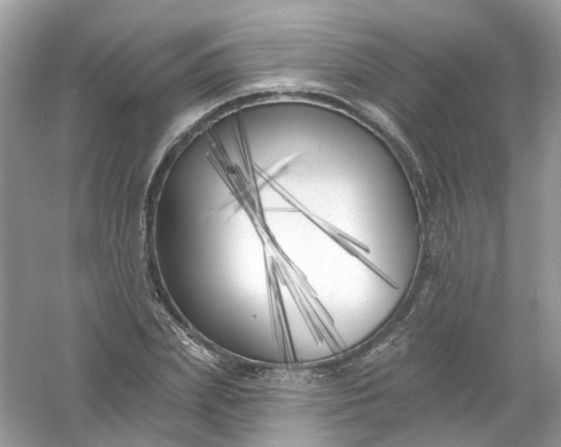 X0000061100831200512022056