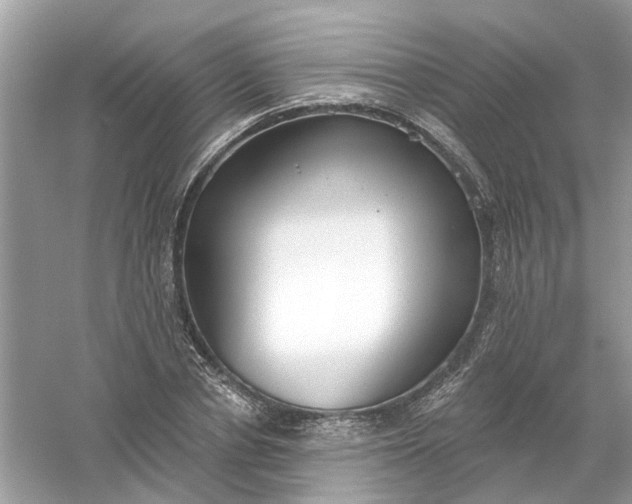 X0000061100834200512022056