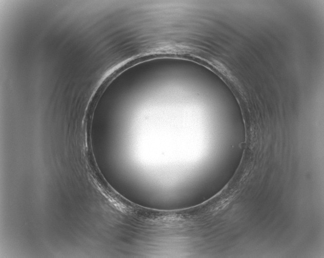 X0000061100838200512022056
