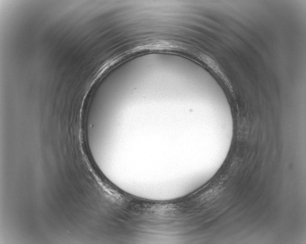 X0000061100845200512022056