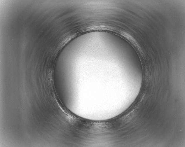 X0000061100849200512022057